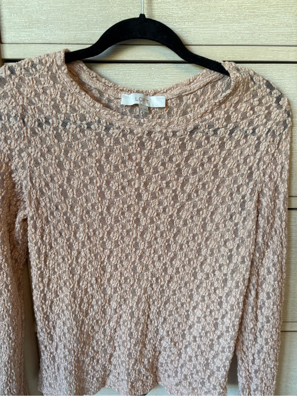 LOFT Blush Lace-Textured Long Sleeve Top
